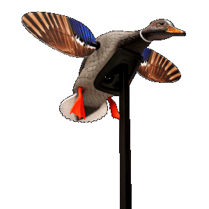 Mojo Mallard Drake Plastic Motion Decoy