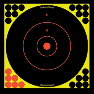 Birchwood Casey Shoot-N-C Reactive Bullseye Targets  100 Pack (Black/Yellow)