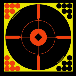 Birchwood Casey Shoot-N-C 8 Reactive BMW Targets  6 Pack (Black/Yellow)