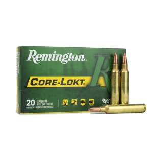 Remington Core-Lokt .300 RUM 180 Gr PSP (Box)