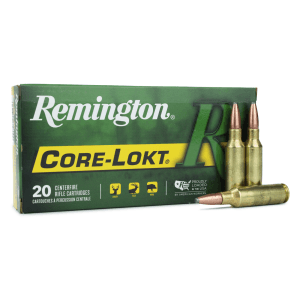 Remington Core-Lokt .300 Rem SAUM 165 Gr PSP (Box)