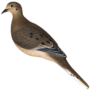 Avian X Full Body Dove Decoys Multi-Color 6 Pack