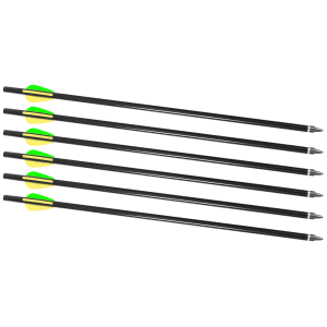 Traditions Firebolt 2216 Aluminum Arrows 6 Pack for Crackshot XBR
