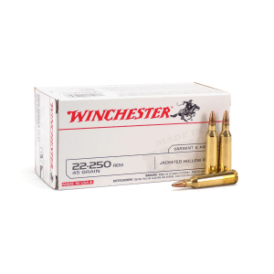 Winchester .22-250 Rem 45 Grain JHP