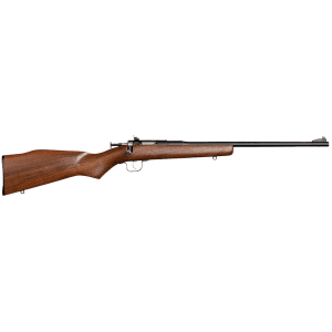 Chipmunk - 00001 - Youth 22 LR 1 Shot 16.13" Single Shot Walnut Rifle