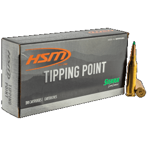 Hsm Tipping Point 300 Win Mag 165 Grain Sierra Bullets GameChanger (Box)