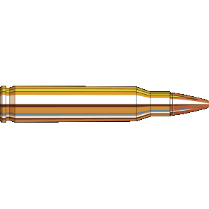 Hornady Superformance 223 Remington 50 Gr Copper Alloy eXpanding (Box)