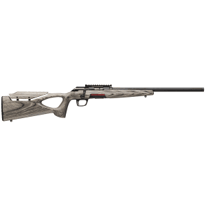 Winchester(R) - 525227102 - Xpert Thumbhole Target Gray SR 22 LR 18" Bolt 10+1 Gray Black Rifle