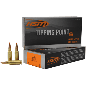 Hsm Tipping Point 6mm ARC 95 Gr Super Shock Tip (Box)