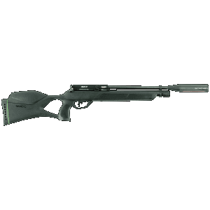 Gamo 22 19.25 10+1 Gray Bolt Action Air Rifle