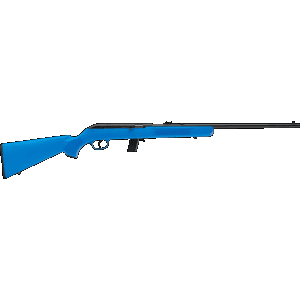 Savage Arms 22 LR 21 10+1 (Semiauto) 40217