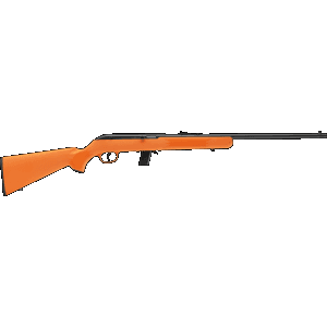 Savage Arms 22 LR 21 10+1 (Semiauto) 40220