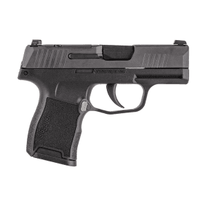 Sig Sauer P365-380 Micro-Compact 380 ACP 3.1 10+1 (Stainless Steel)