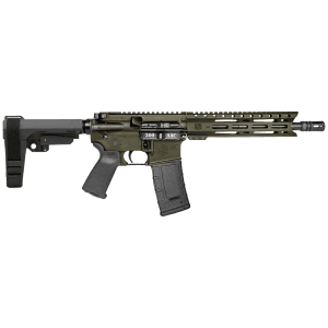 Diamondback DB15 300 AAC Blackout 10 30+1 (ODG)