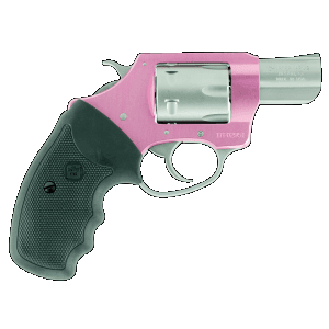 Charter Arms Pathfinder 22 Mag/WMR Single Action 2 6 Shot Revolver
