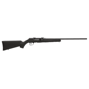Savage A17 17 HM2 20 10+1