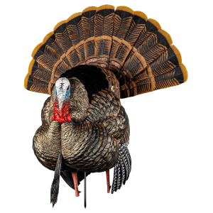 Avian X HDR Strutter Realistic Turkey Decoy with Interchangeable Heads