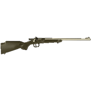 Crickett Youth Gen2 .22LR 16.12 1rd Bolt Action Rifle (Black/Stainless)