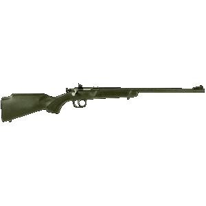 Crickett Youth 22 LR Bolt 16.12 1rd Black Rifle
