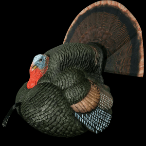Primos Gobbstopper Strutter Box Call Turkey Decoy