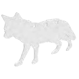 White AR500 Steel Coyote Silhouette Target 3/8 inch