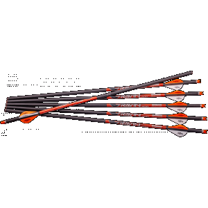 Ravin 100% Pure Carbon Arrows 6 Pack for Crossbows