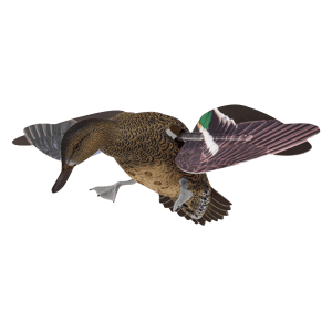 Avian X PowerFlight Green-Winged Teal Spinning Wing Decoy