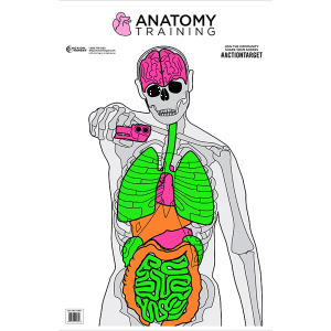 Action Target Anatomy Vitals Silhouette Training Targets 23x35  100 Count (Multi-Color)