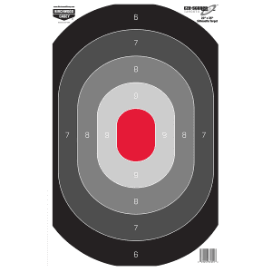 Birchwood Casey Shoot-N-C 23x35 Bullseye Oval Targets  100 Pack (Black/White)