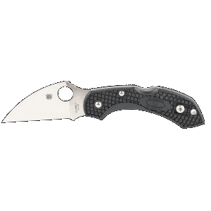 Spyderco Dragonfly 2 2.28 Wharncliffe C28FPWCBK2