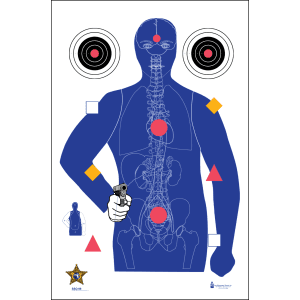 Action Target SSO99100 StateSpecific Qualification Sarasota Sheriffs Office SilhouetteVitals Paper Hanging 23 x 35 Blue 100 Per Box