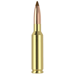 Nosler 6.5x55 Swedish 140 Gr Ballistic Tip (Box)