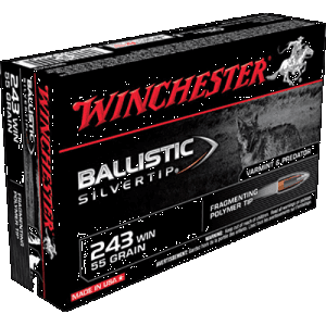 Winchester Ballistic Silvertip 243 Win 55 Grain Frangible (Box)