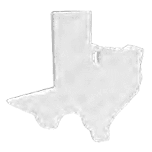 Birchwood Casey White Texas AR500 Steel Target