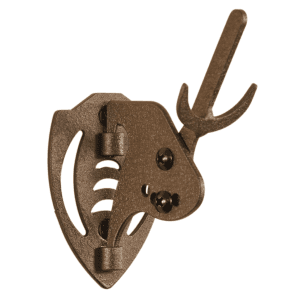 Mini Hooker Robust Brown European Skull Mount