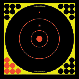 Birchwood Casey Dirty Bird 12 Bullseye Paper Targets  12 Pack (Black/Yellow)