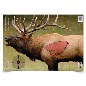 Birchwood Casey Pregame 16.5x24 Elk Paper Targets  3 Pack (Multi-Color)