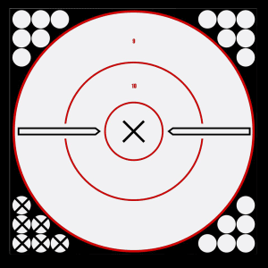Birchwood Casey Shoot-N-C Reactive 12 Bullseye Targets  5 Pack (Black/White)