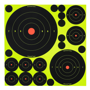 Birchwood Casey Shoot-N-C Reactive Variety Bullseye Targets  50 Pack (Black/Yellow)