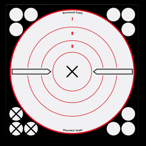 Birchwood Casey Shoot-N-C 12 Bullseye BMW Targets  5 Pack (Black/Yellow)