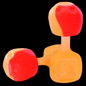 Howard Leight Foam Earplugs NRR 28 dB 5 Pairs