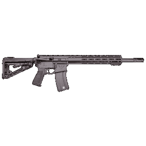 Wilson Combat Protector 300 HAM'R 16.25 30+1