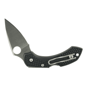 Spyderco Dragonfly 2 2.25 Clip Point C28PBK2