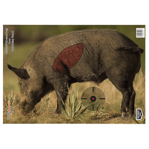Birchwood Casey Pregame 16.5x24 Boar Paper Targets  3 Pack (Multi-Color)